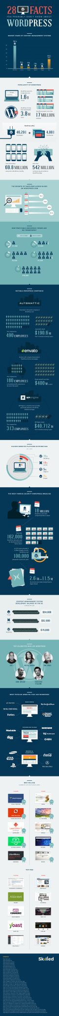 28 Facts About Wordpress Infographic